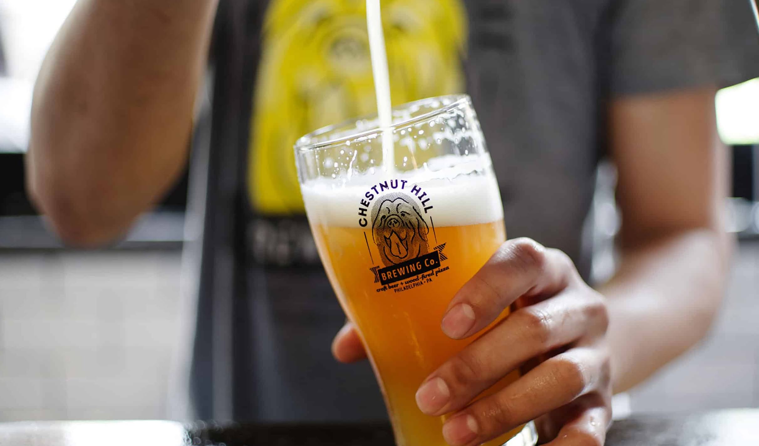 A person pours a foamy, amber beer into a branded glass labeled "Chestnut Hill Brewing Co." Their shirt displays a yellow graphic.