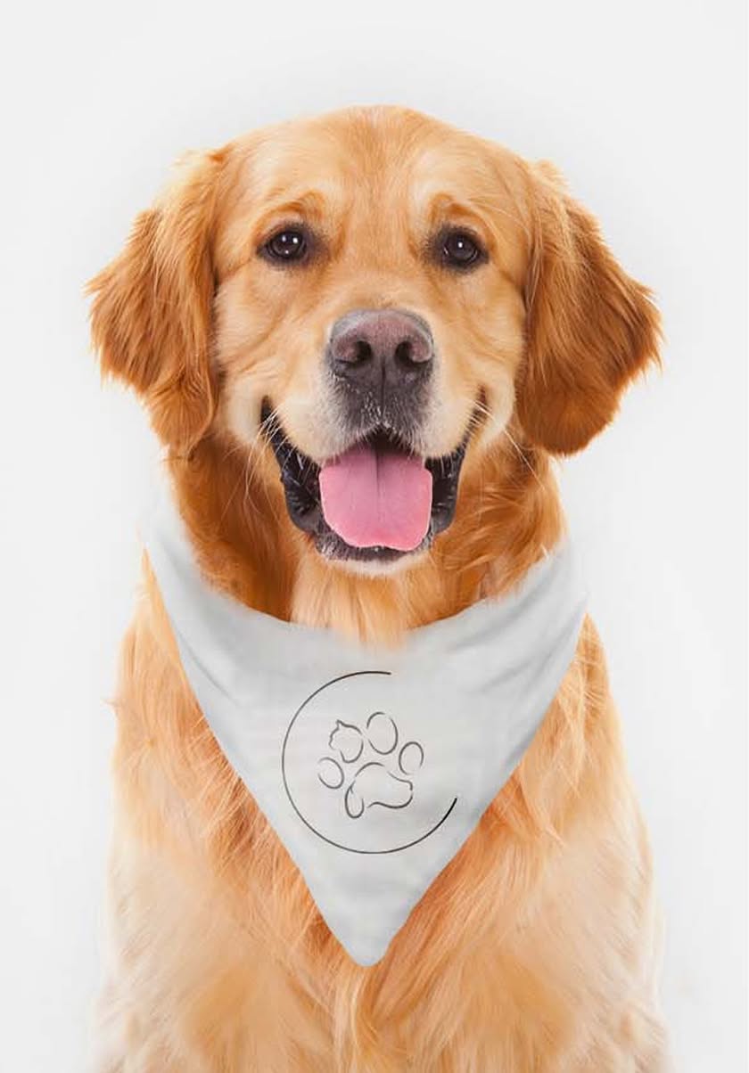 PAW-Bandana