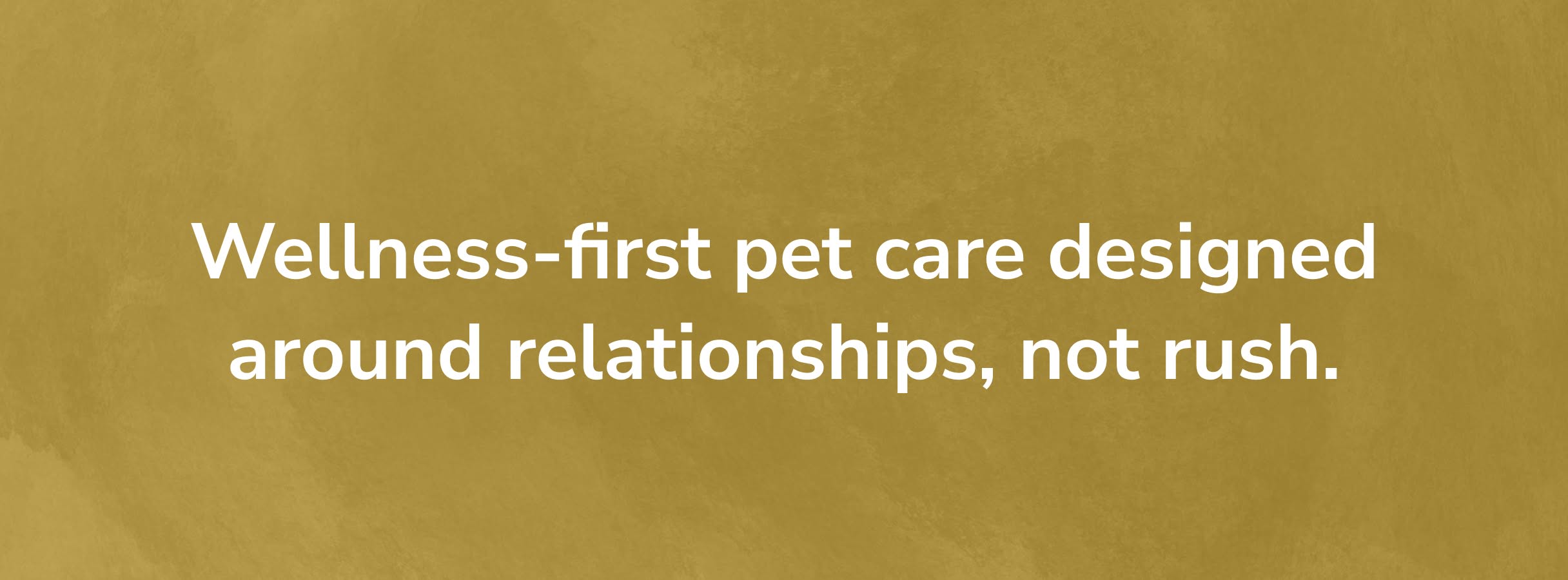 PAW-Callout Text on a textured golden background reads, "Wellness-first pet care designed around relationships, not rush." The tone is calming and thoughtful.